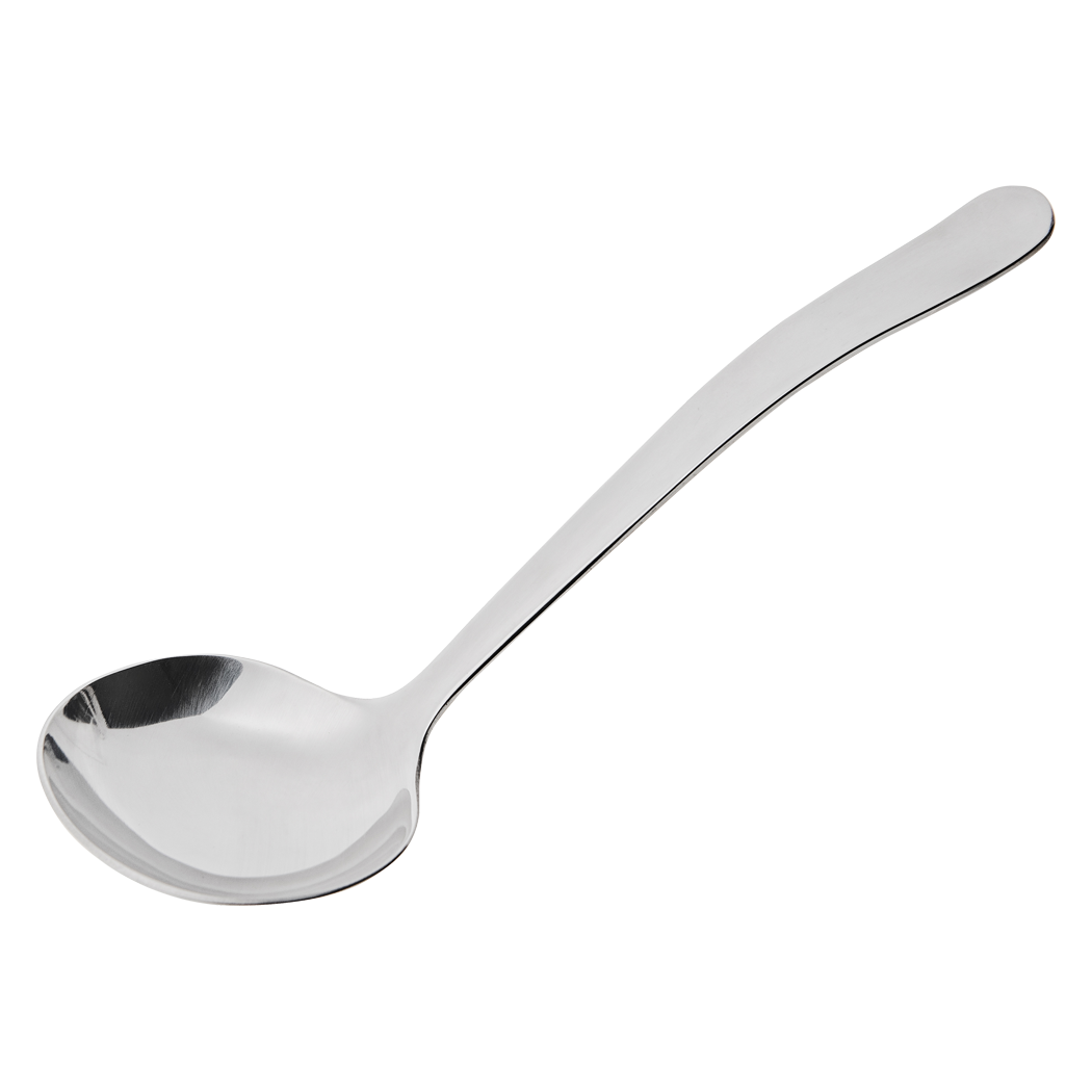 New Era Serving Ladle