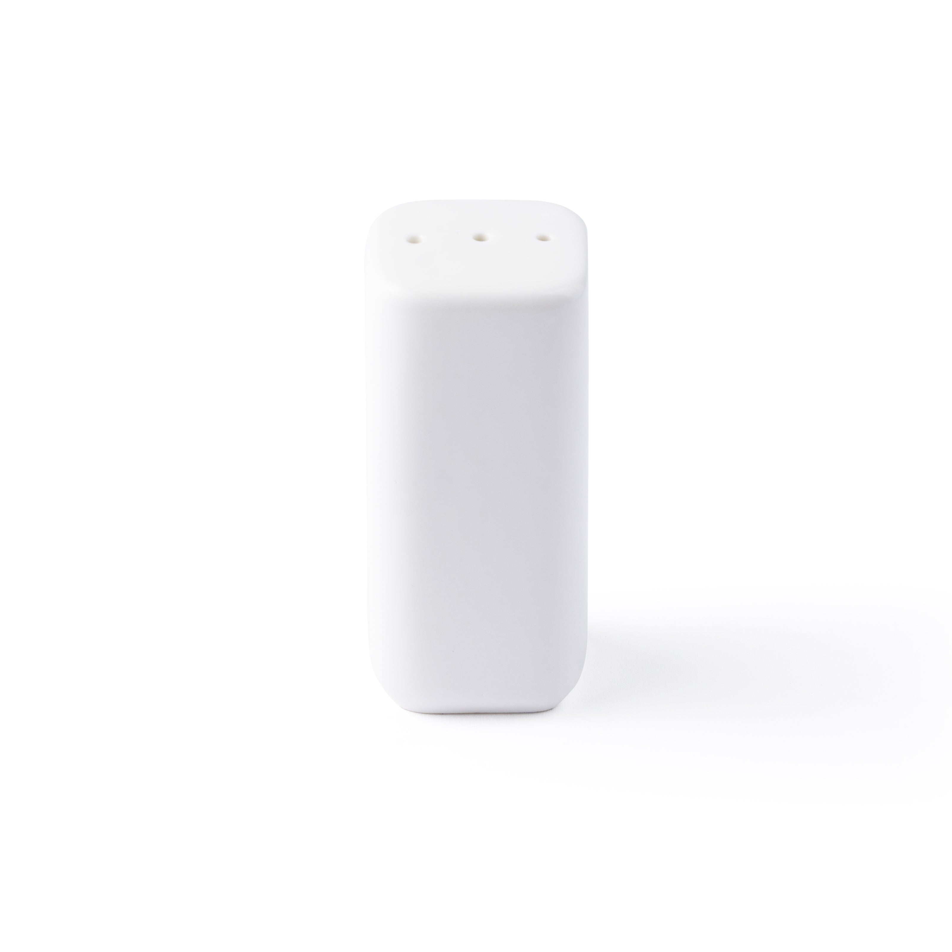 FOUNDATION Salt Shaker, 2 oz